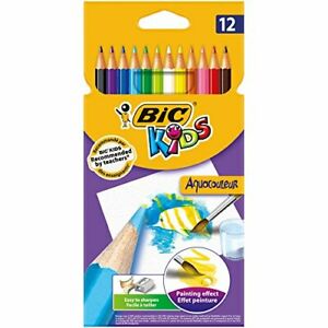 [12X --313188124] الوان خشب BIC